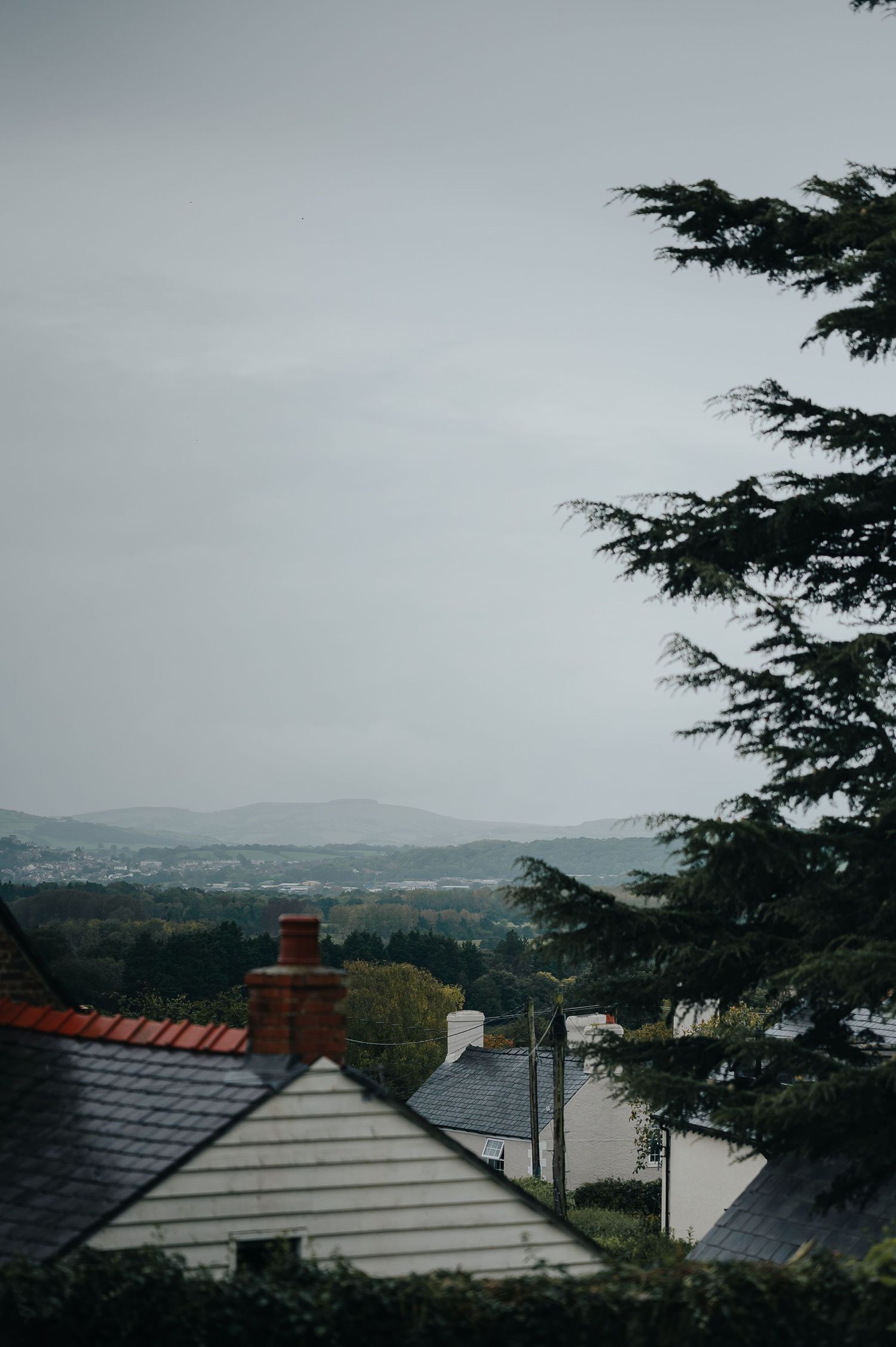 Misty landscape view over rooftops and mountains with evergreen trees in the foreground.