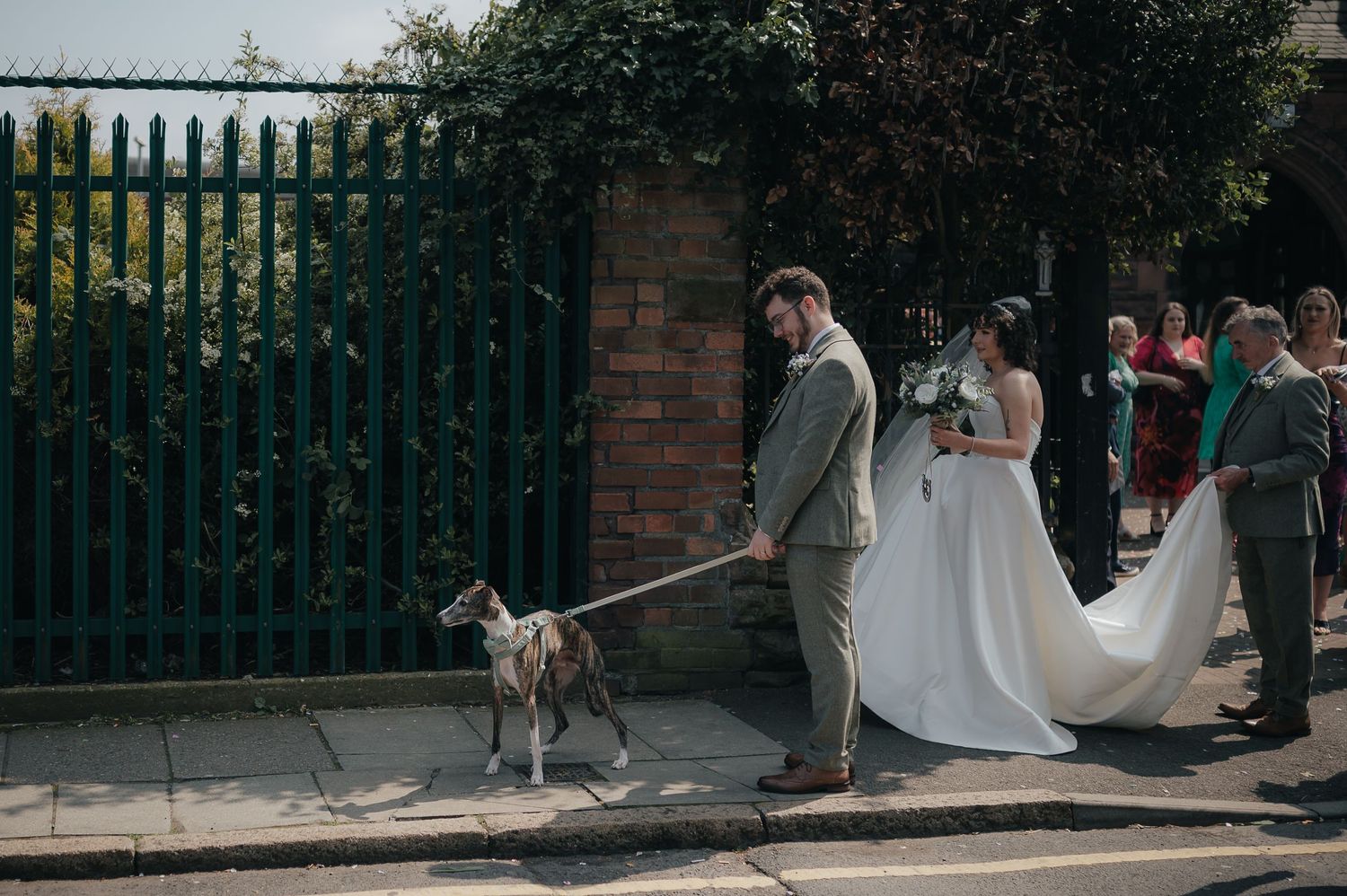A wedding couple walking their dog along a sidewalk with guests following behind.
