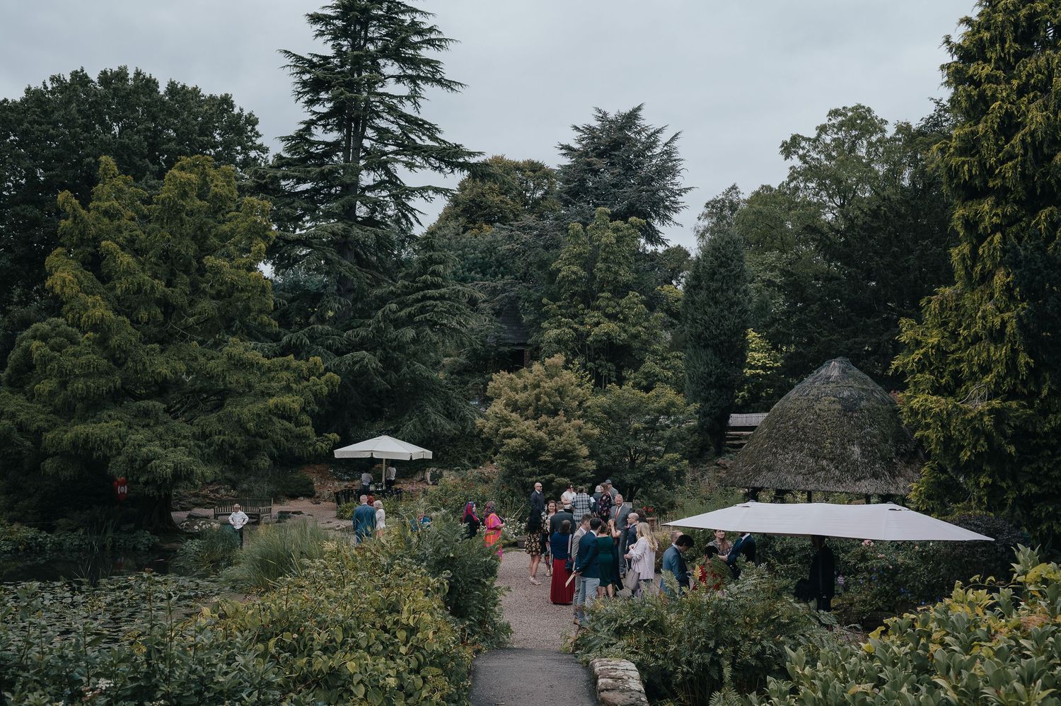 Guests gather on a garden path under umbrellas surrounded by greenery and trees.
