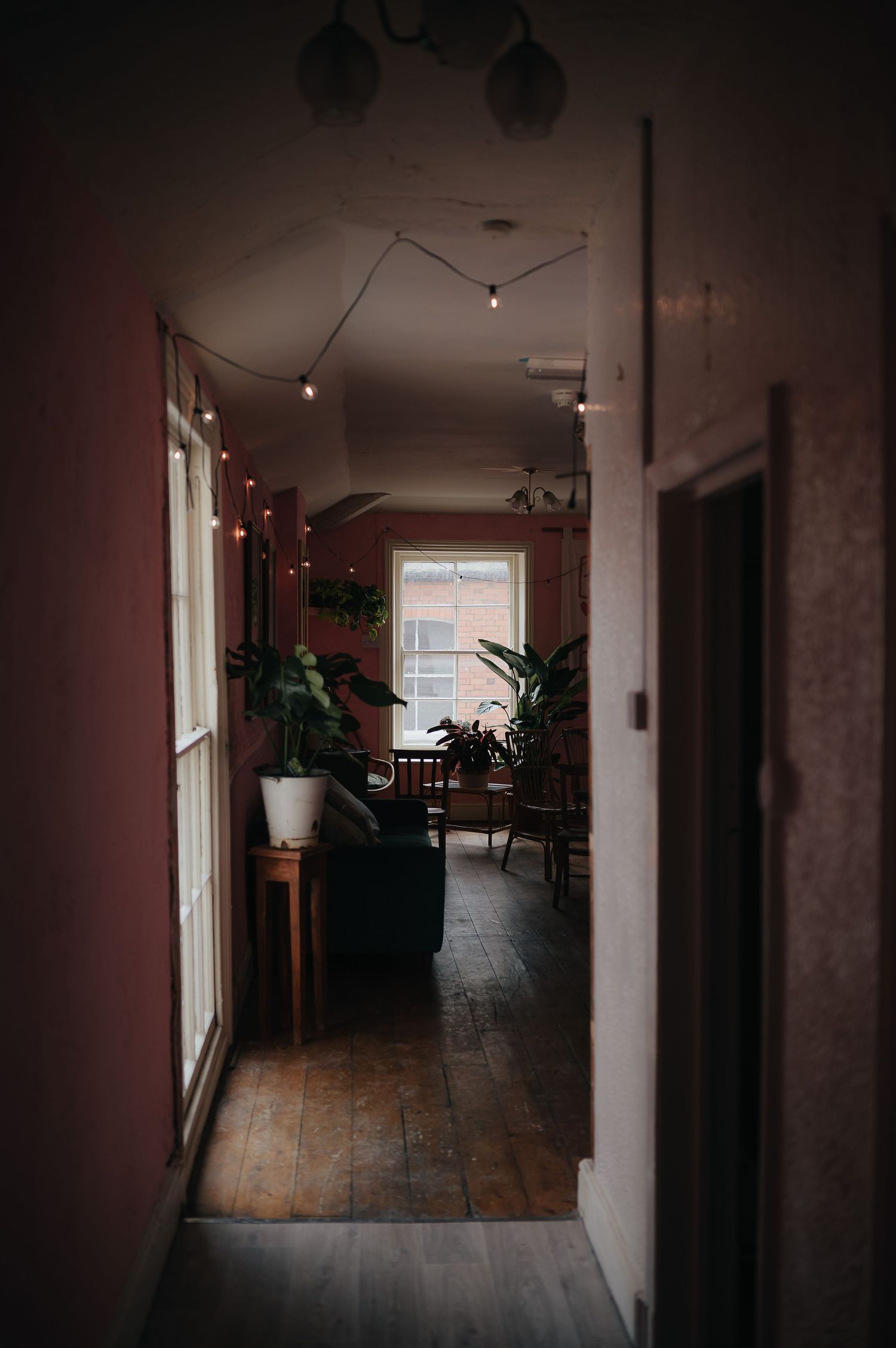 Moody hallway with string lights and plants leading to a living area with wooden floors and dark atmosphere.