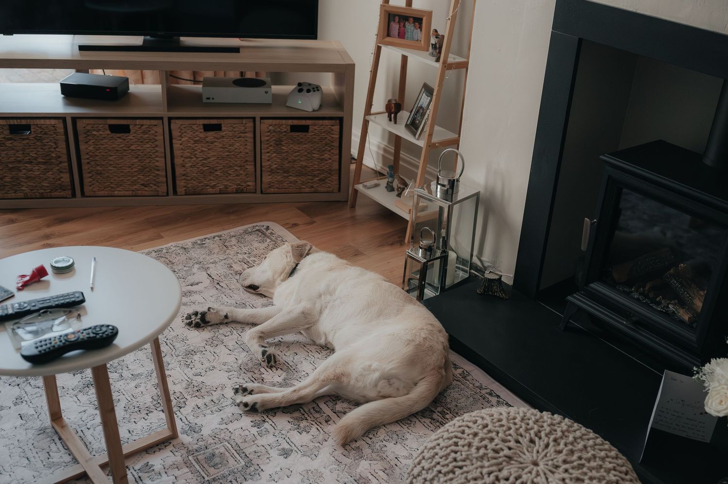 A white dog sleeping peacefully on a rug near a fireplace in a cozy living room.