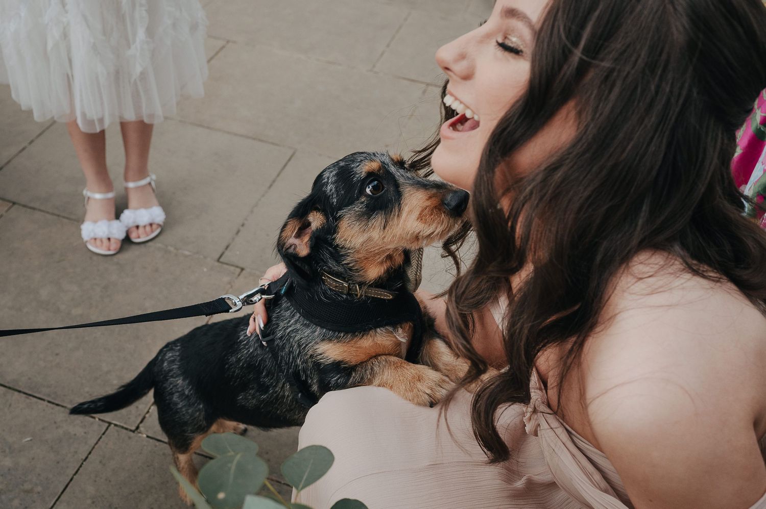 A sweet moment shared between a bride and a small black and tan dog at a wedding.