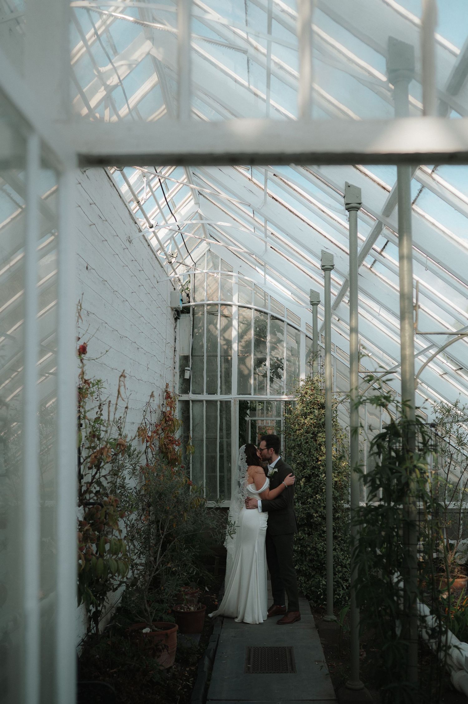 Sunlight streams through a Victorian greenhouse with white framework and climbing plants.