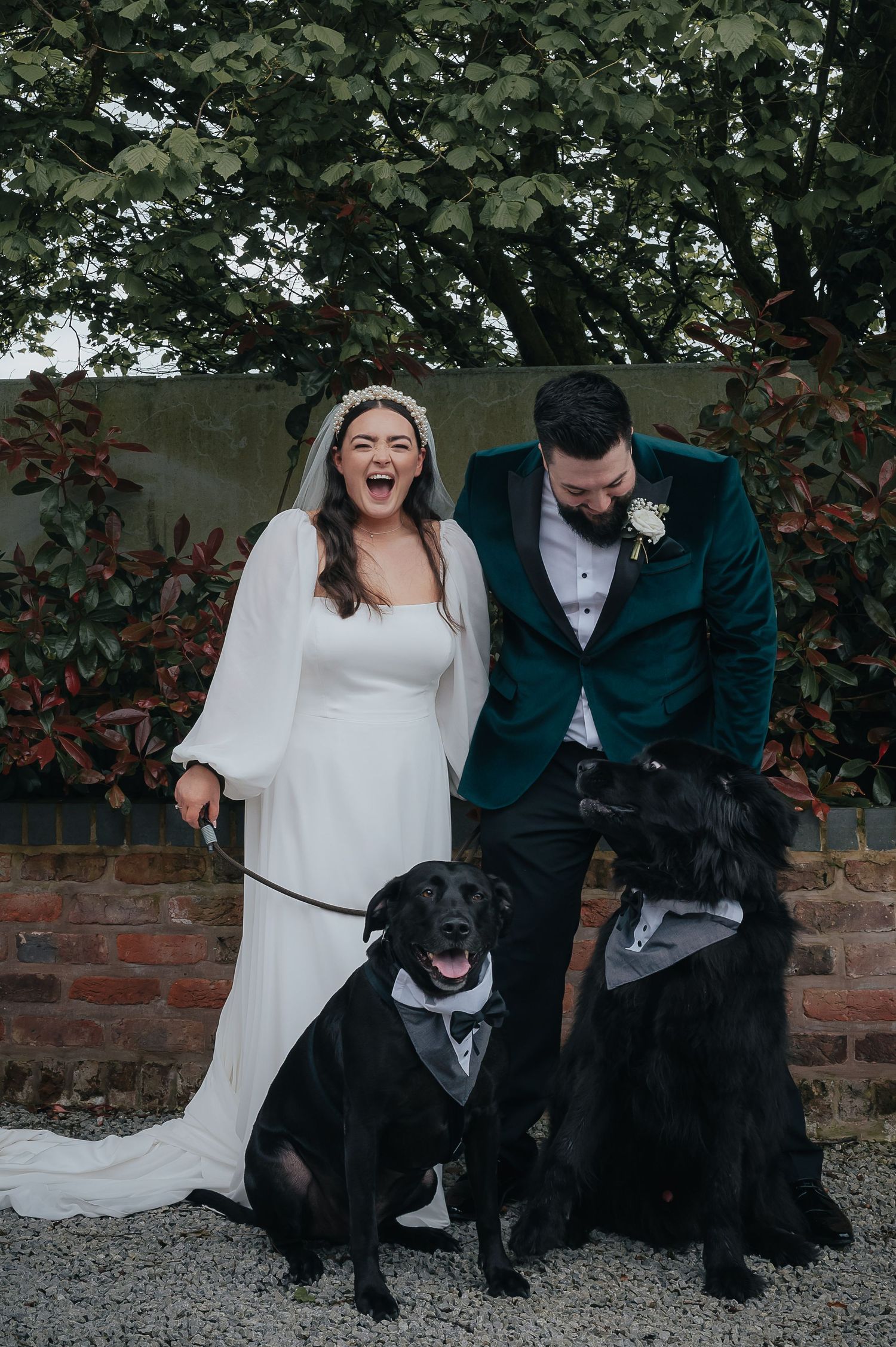 A wedding couple poses with their two black dogs wearing formal attire against a brick wall and greenery backdrop.