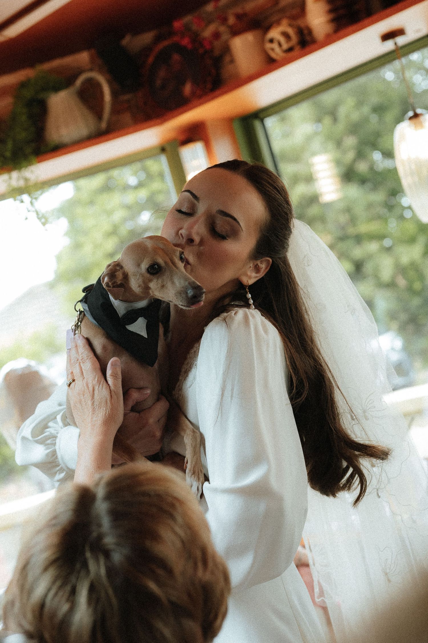 Bride in white gown and veil kissing small dog dressed in tuxedo at wedding celebration indoors.