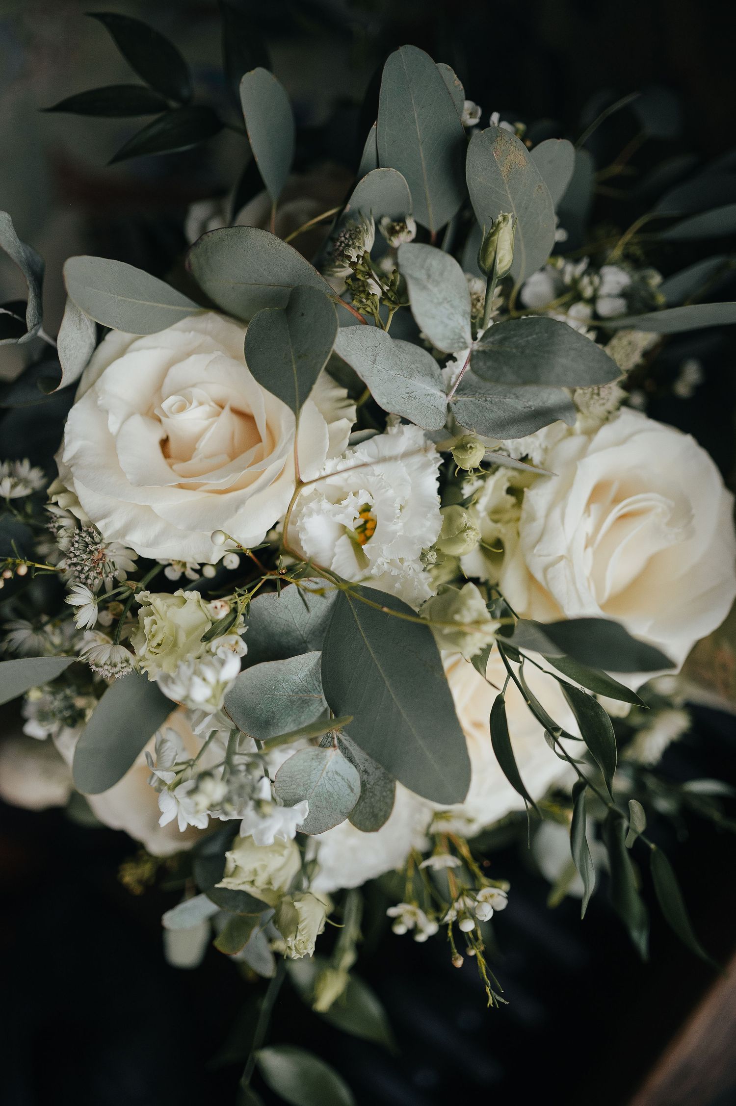 Elegant white rose wedding bouquet with eucalyptus leaves and delicate baby's breath against dark background.