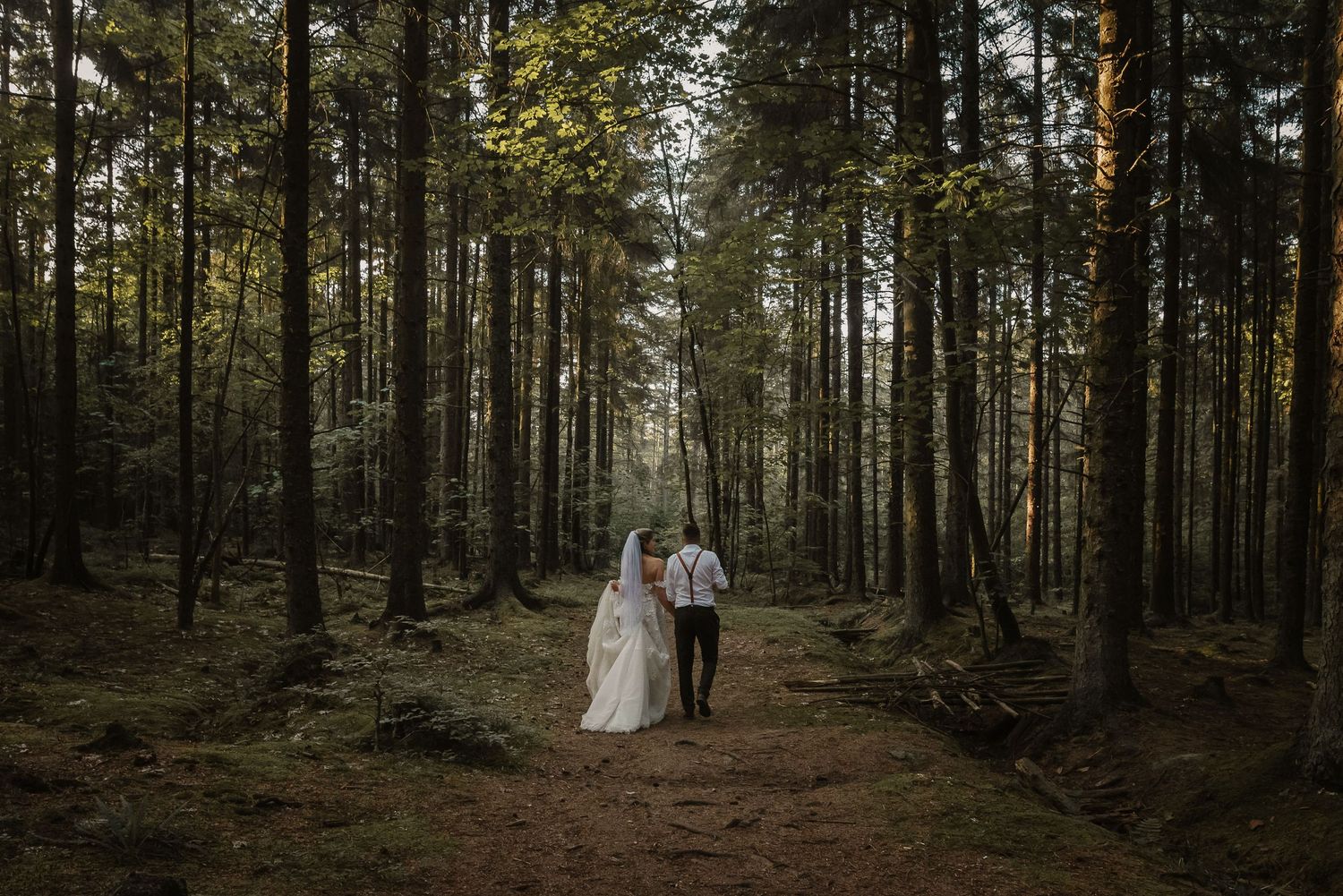 A couple walks hand in hand through a moody forest with tall pine trees.