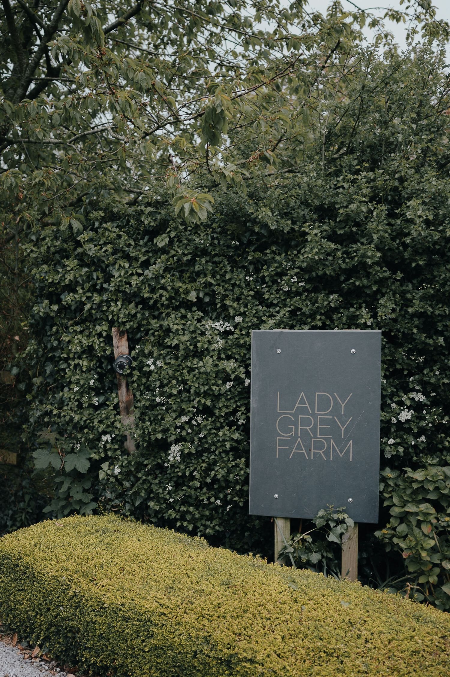 A sign reading 'Lady Grey Farm' mounted on a post against lush green foliage.