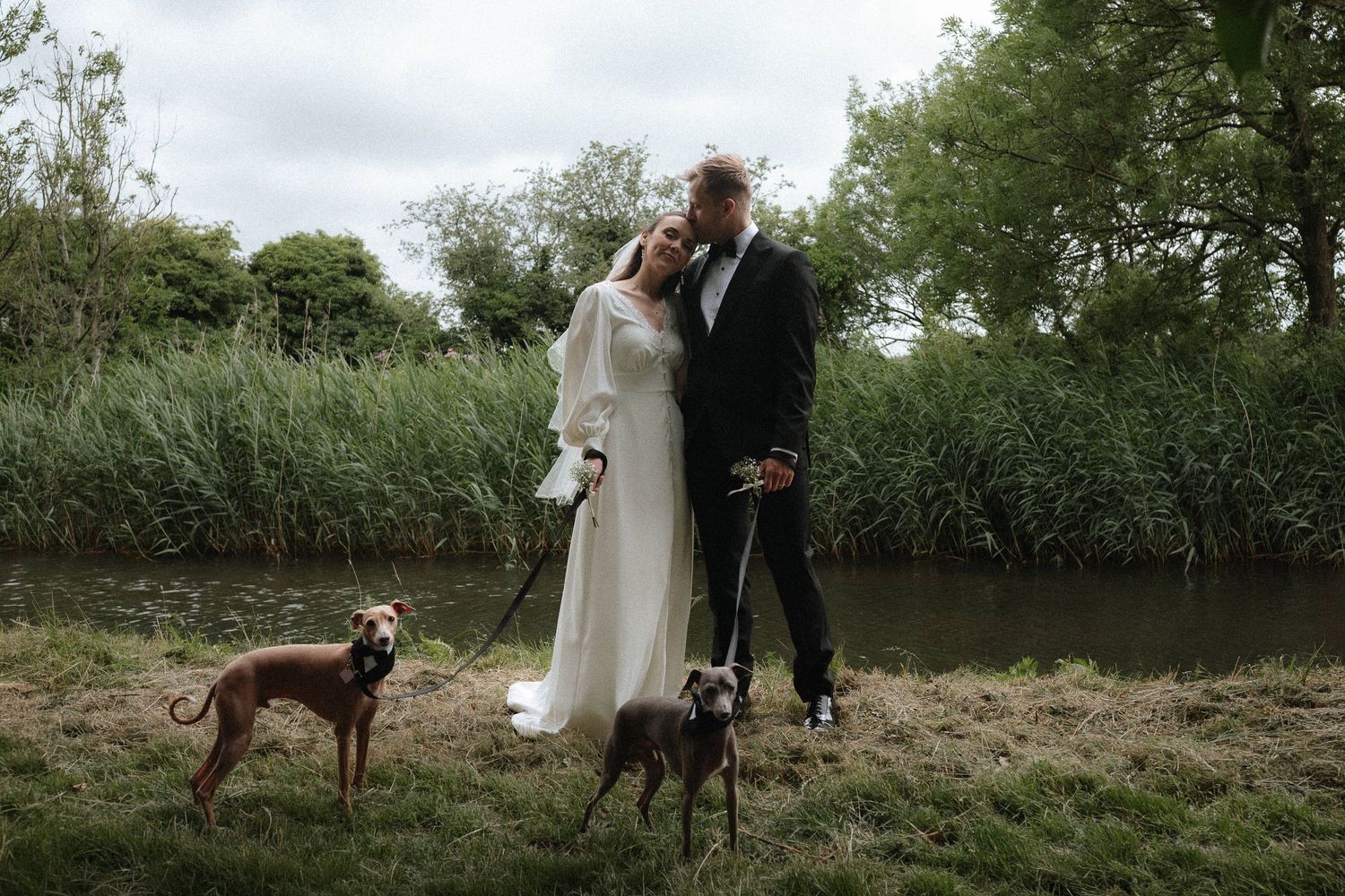 Bride and groom stand by a riverside with two greyhounds on leads, surrounded by lush greenery on their wedding day.