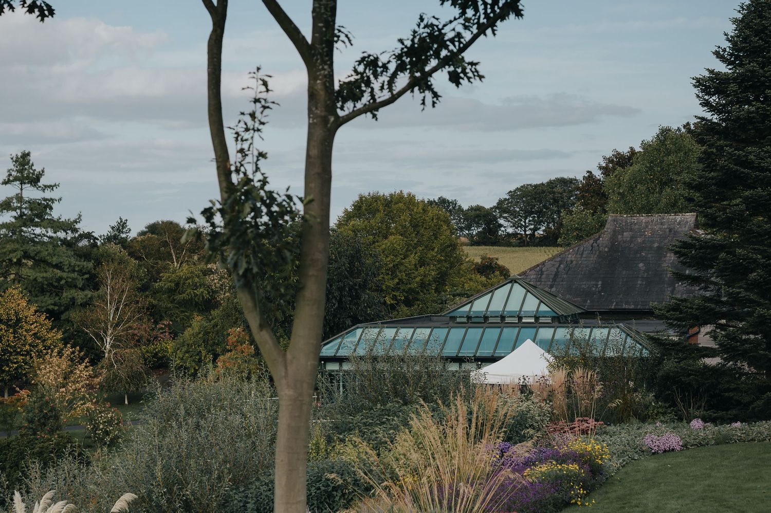 Garden landscape with greenhouse structure visible through trees and foliage.