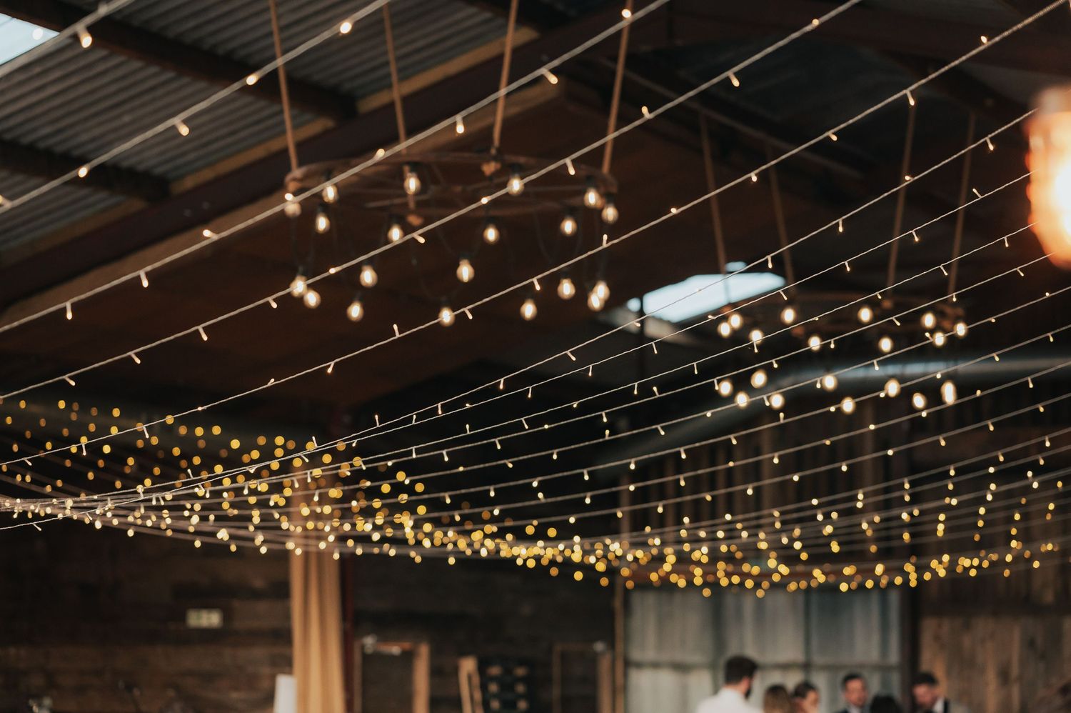 String lights create a magical ceiling display at an indoor wedding venue.