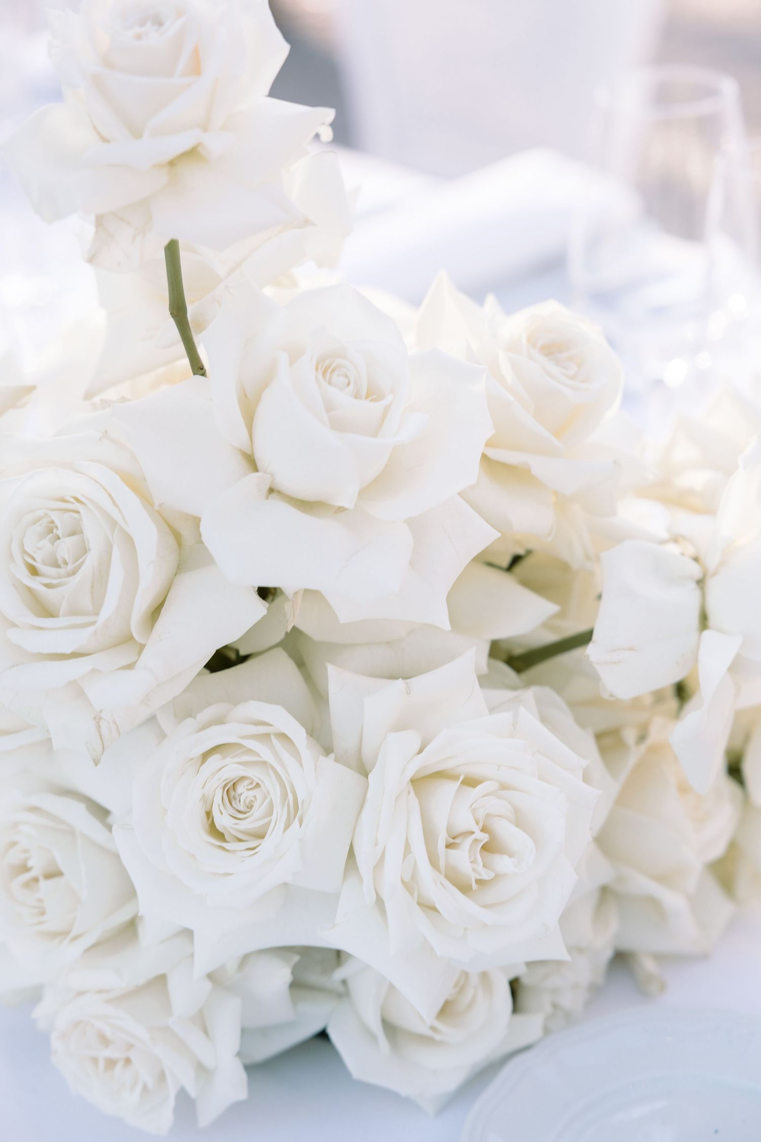 Close-up of pure white roses in full bloom arranged as wedding decor.