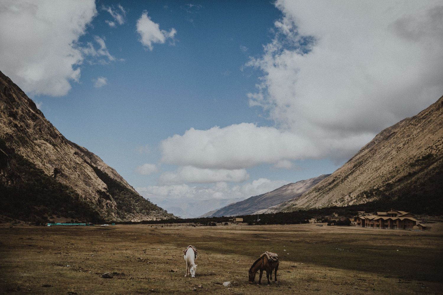 Horse grazing in a vast mountain valley with dramatic peaks and cloudy skies.
