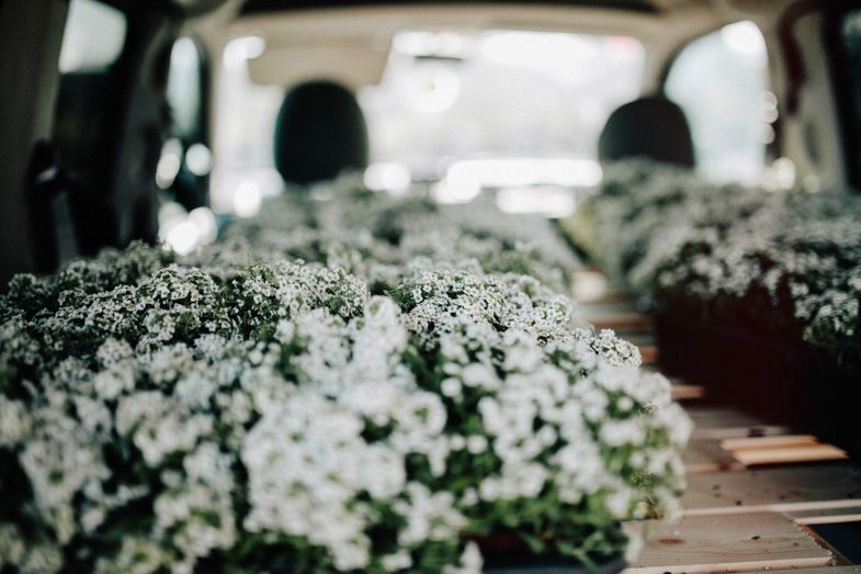 Car interior filled with white flowers and greenery for wedding decoration.