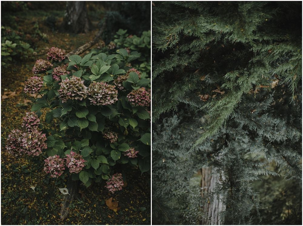 Diptych of lush green foliage and mossy forest scenes in moody lighting.