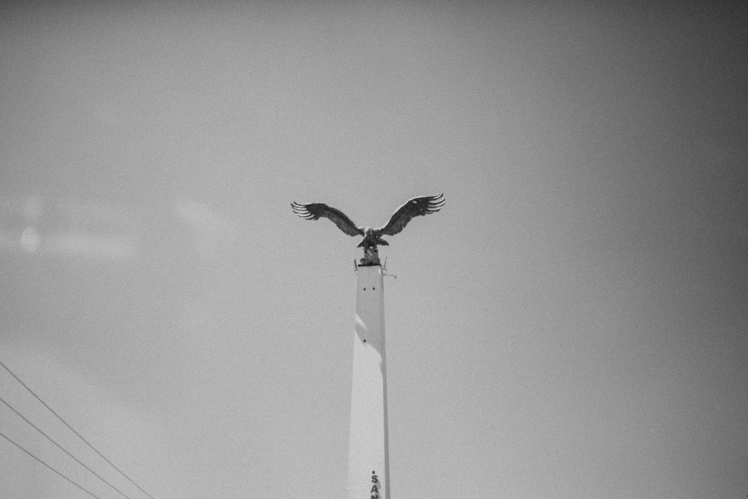 Black and white photo of eagle statue perched on tall pole against cloudy sky.