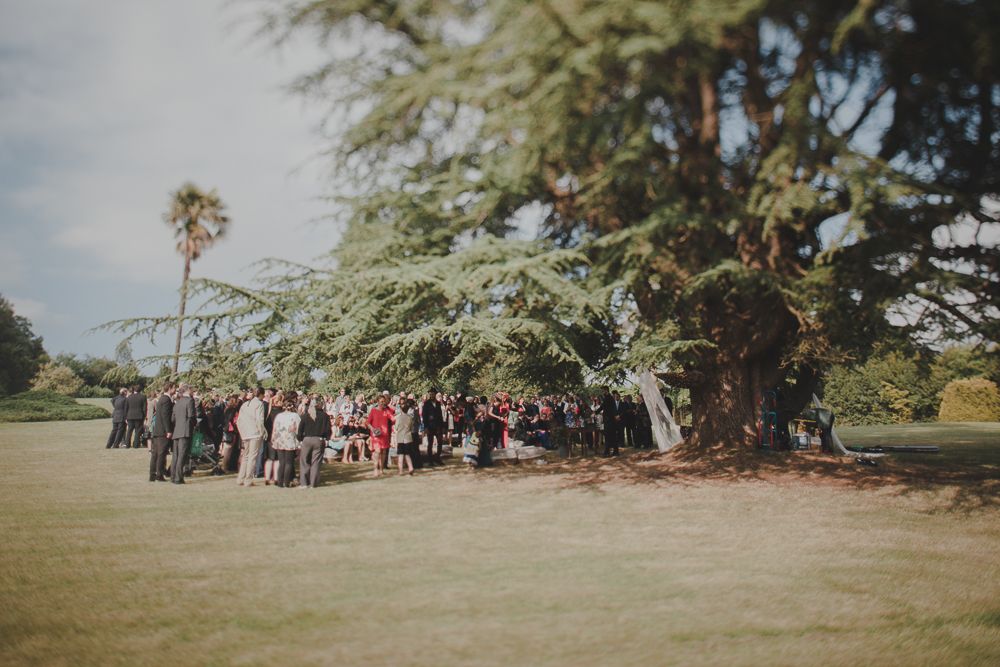Wedding guests gather under large tree branches during outdoor ceremony.
