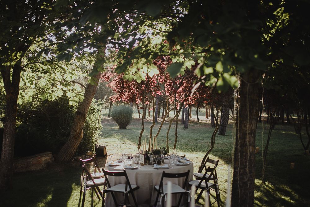 Romantic outdoor reception table setting among trees with warm sunset lighting.