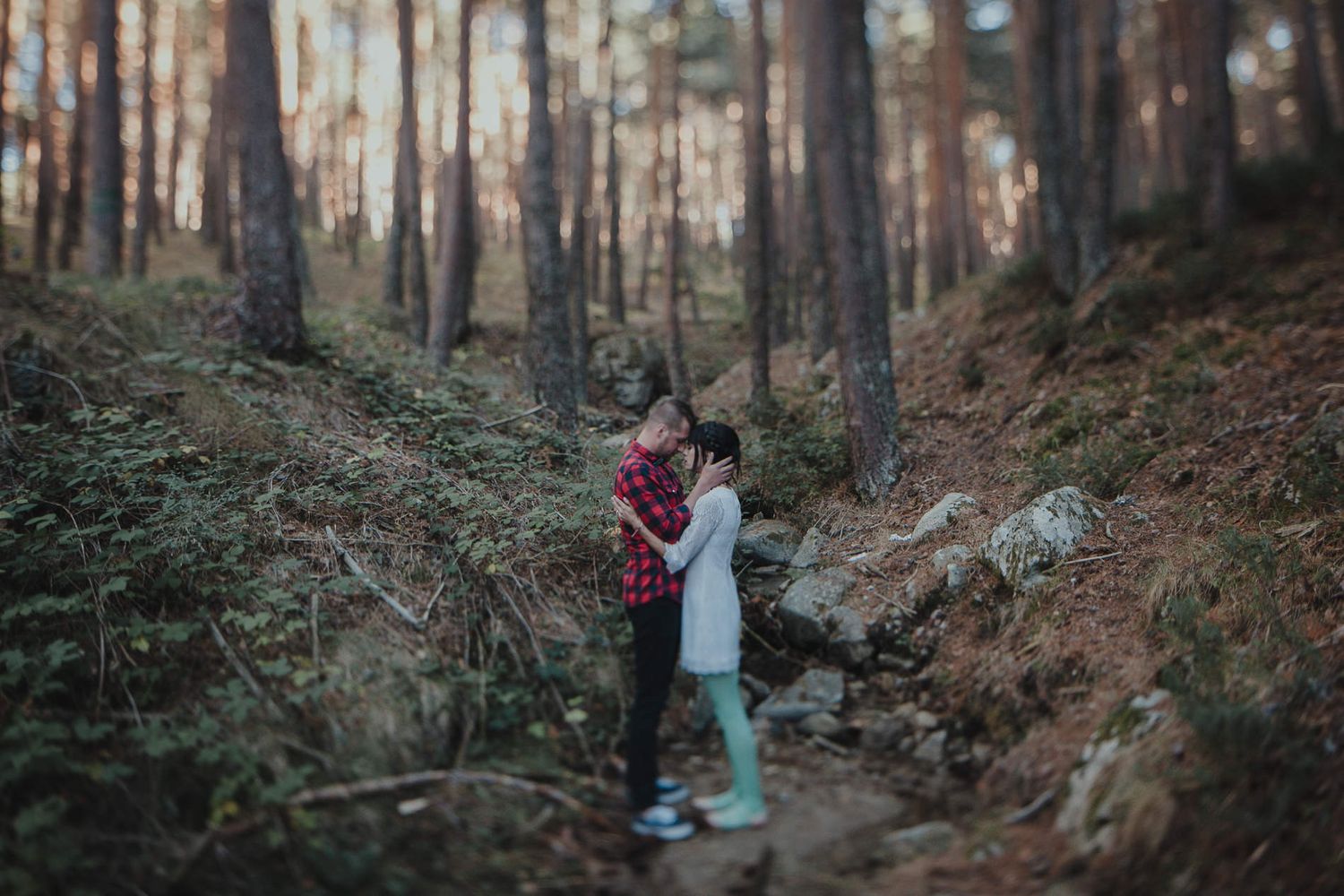 Intimate couple moment captured in moody forest setting with tall pine trees.