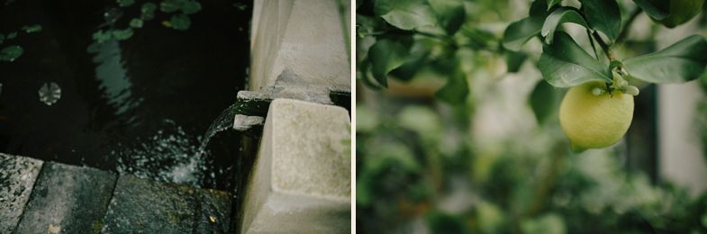 A diptych showing water droplets and a green apple growing on a tree branch.