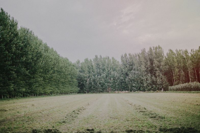 Serene landscape with green trees lining an empty grassy field under overcast skies.