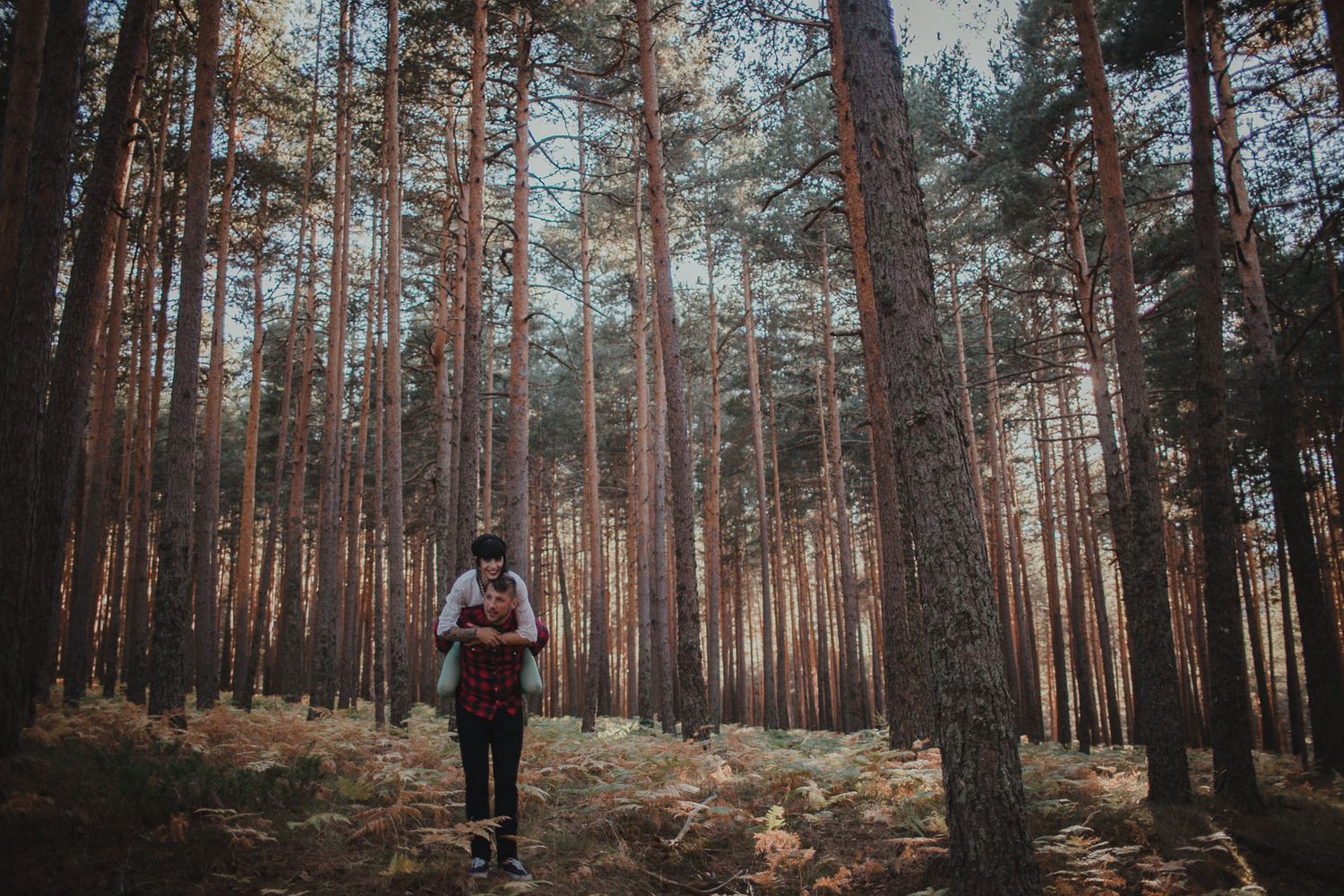 Lone hiker in red plaid explores a misty pine forest during golden hour.