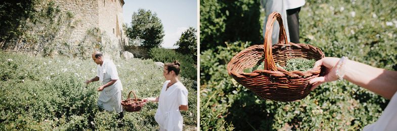 Split image showing garden scenes and a woven basket being carried.