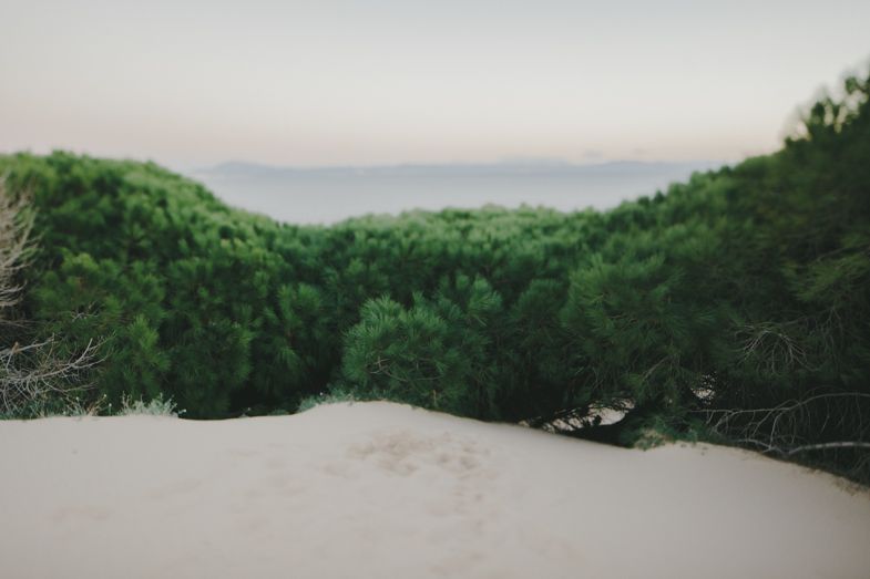 Serene landscape view of green forested hills with misty valley.