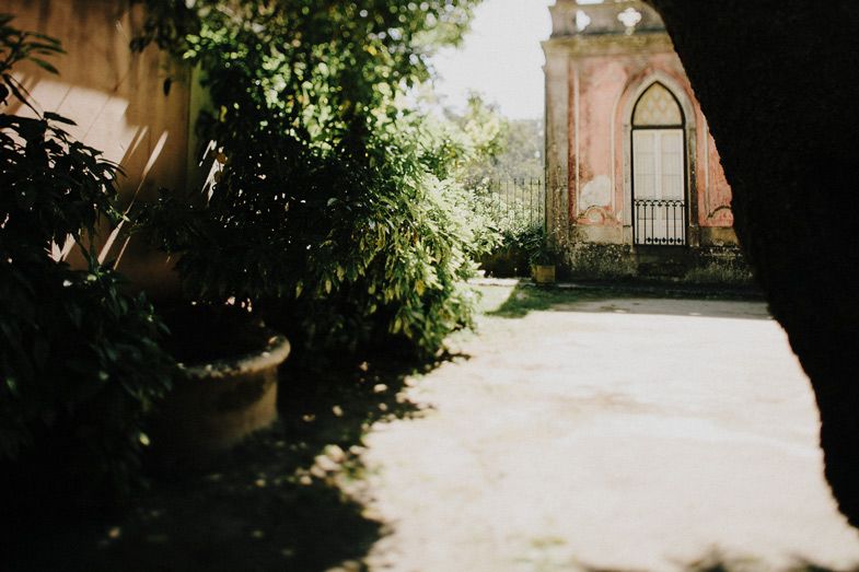 Sunlit courtyard with arched doorway and lush green plants in a historic setting.