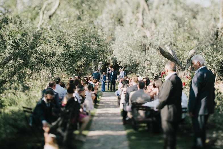 Guests seated at an outdoor wedding ceremony in a garden surrounded by olive trees.