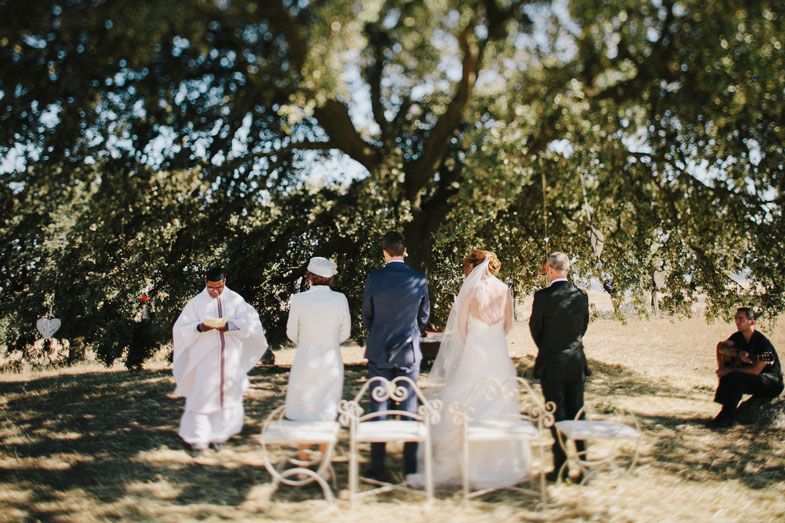 A small wedding ceremony takes place under the shade of a large oak tree.