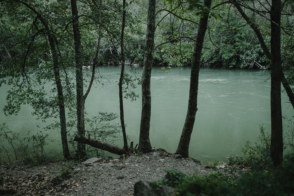 Misty green forest scene with tall trees framing a serene river view.