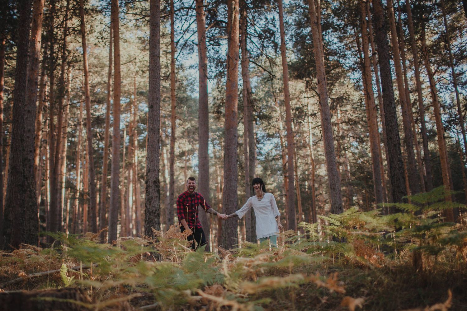 Two people strolling hand in hand through a majestic forest of towering pine trees.