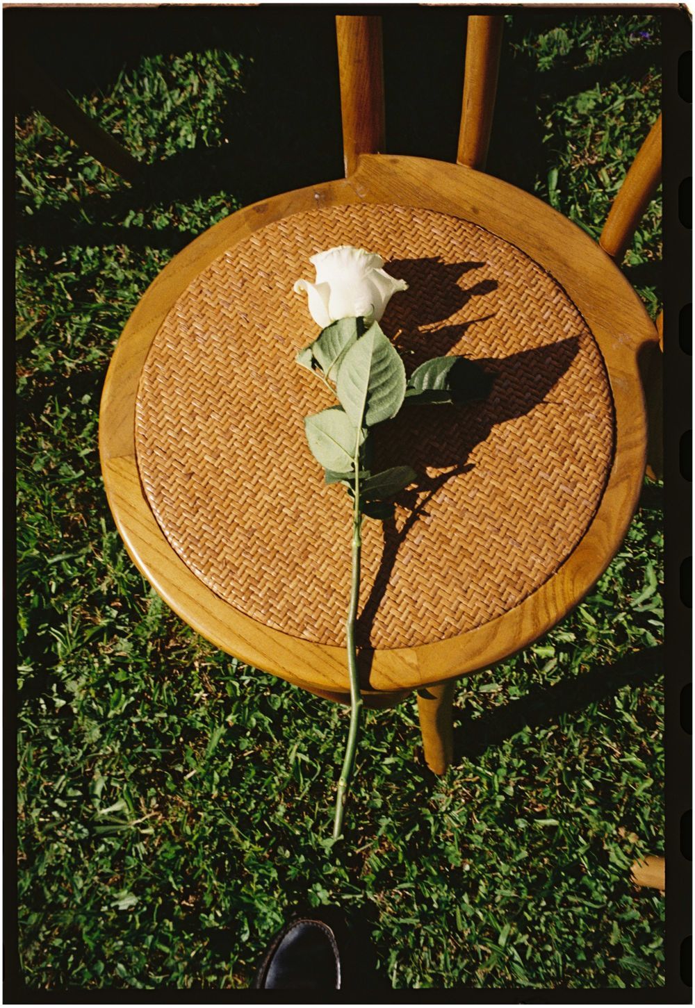 A single white rose lying on a woven rattan chair seat casting dramatic shadows on the textured surface.