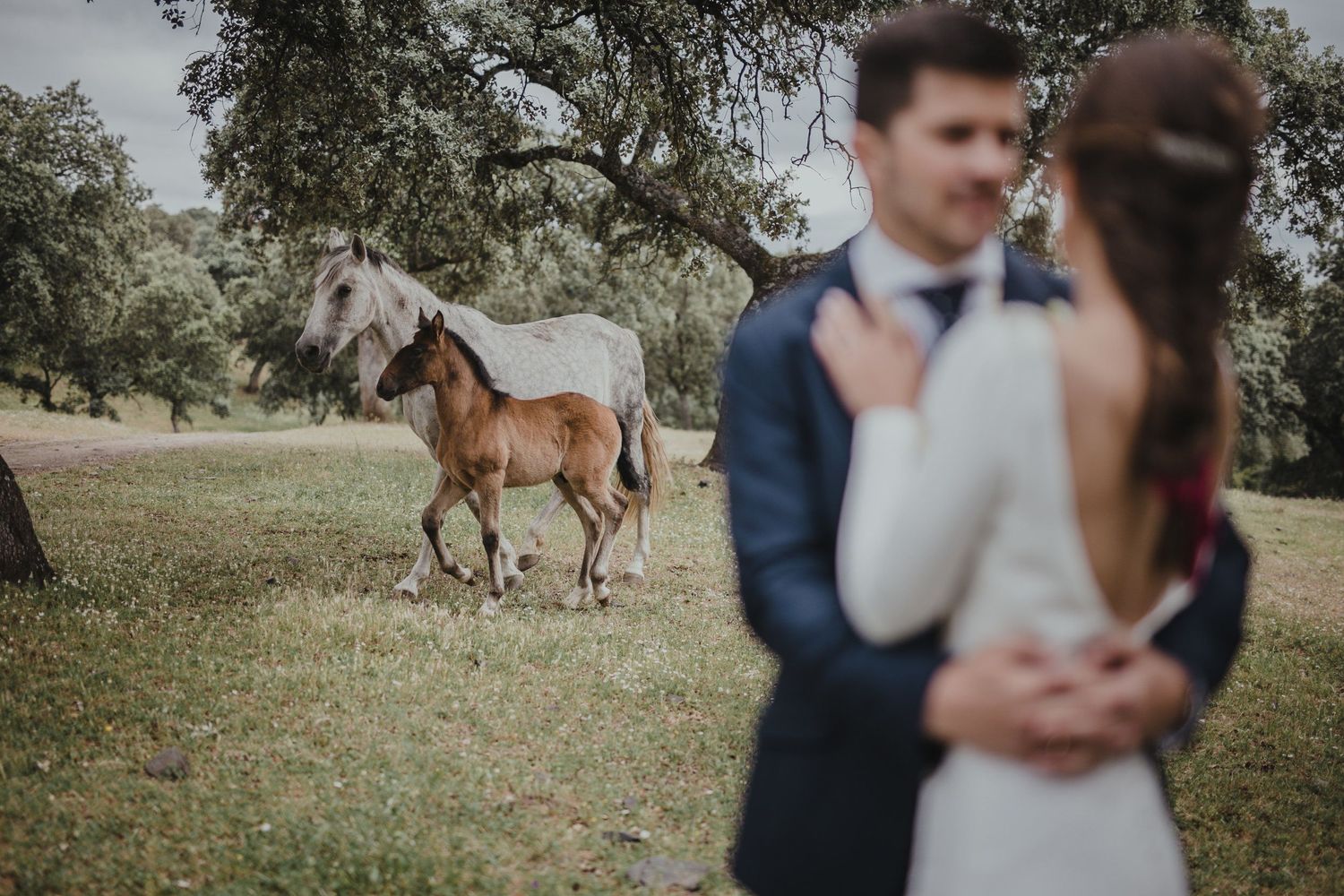 A romantic wedding portrait in a meadow with horses grazing in the background.