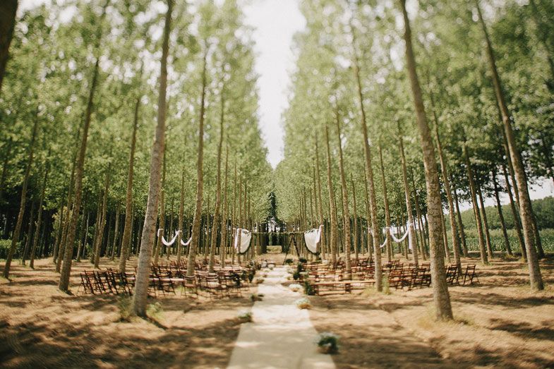 Wedding ceremony setup in a forest with chairs arranged along a path between tall pine trees.