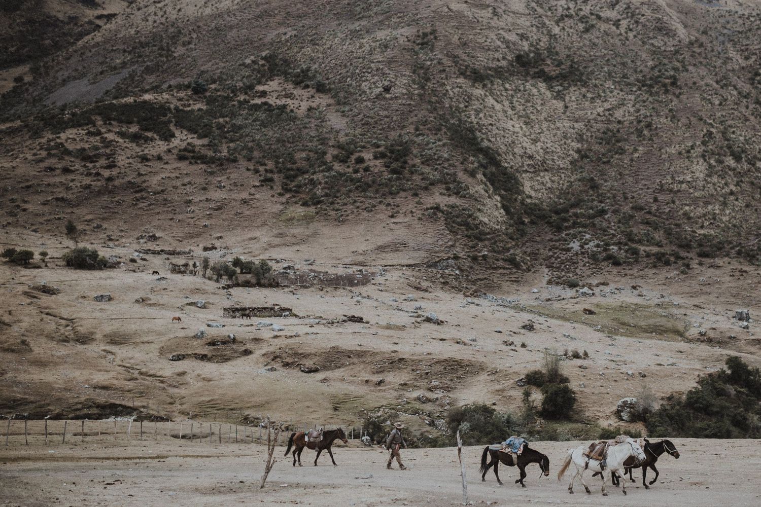 Wild horses gallop across a rugged mountain valley landscape with dramatic peaks in the background.