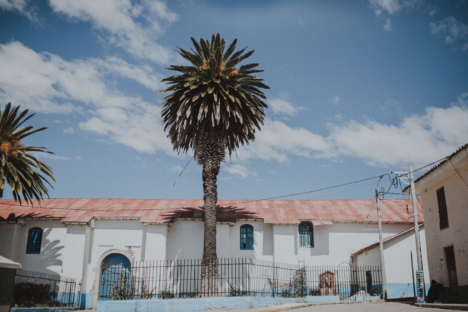 Palm tree stands tall against white colonial buildings with red roofs under blue sky in a quiet courtyard.