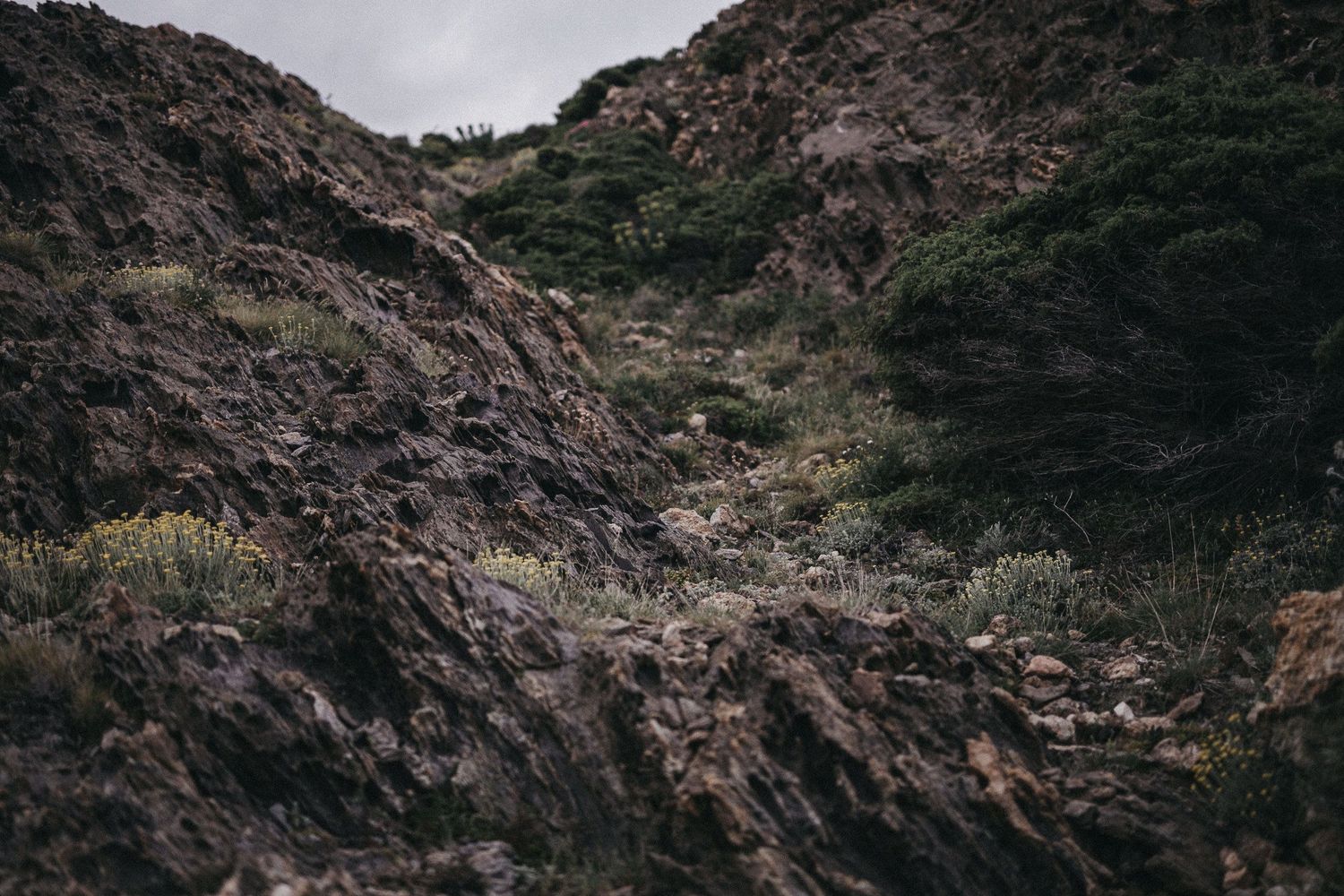 Rugged rocky mountain terrain under an overcast sky with sparse vegetation.