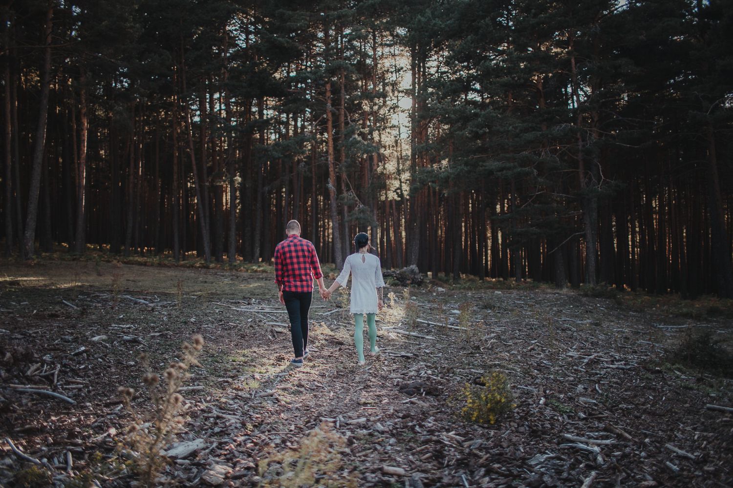 Couple walking together through a pine forest clearing at sunset.