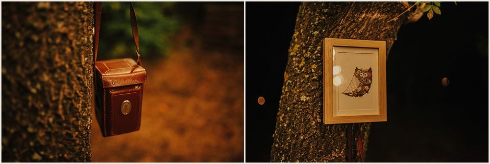 Vintage-style decorative frames and lighting elements mounted on tree trunks.
