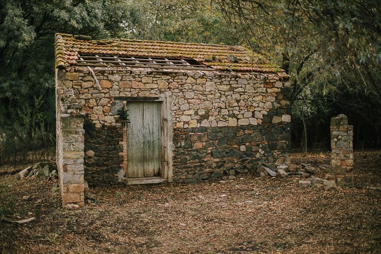 Weathered brick outbuilding with wooden door in an autumn forest setting.