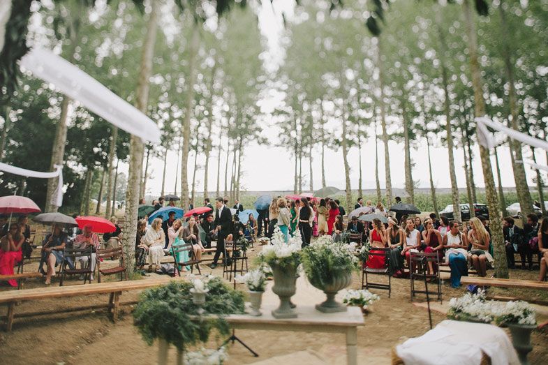 Outdoor forest wedding reception with guests gathered under tall pine trees.