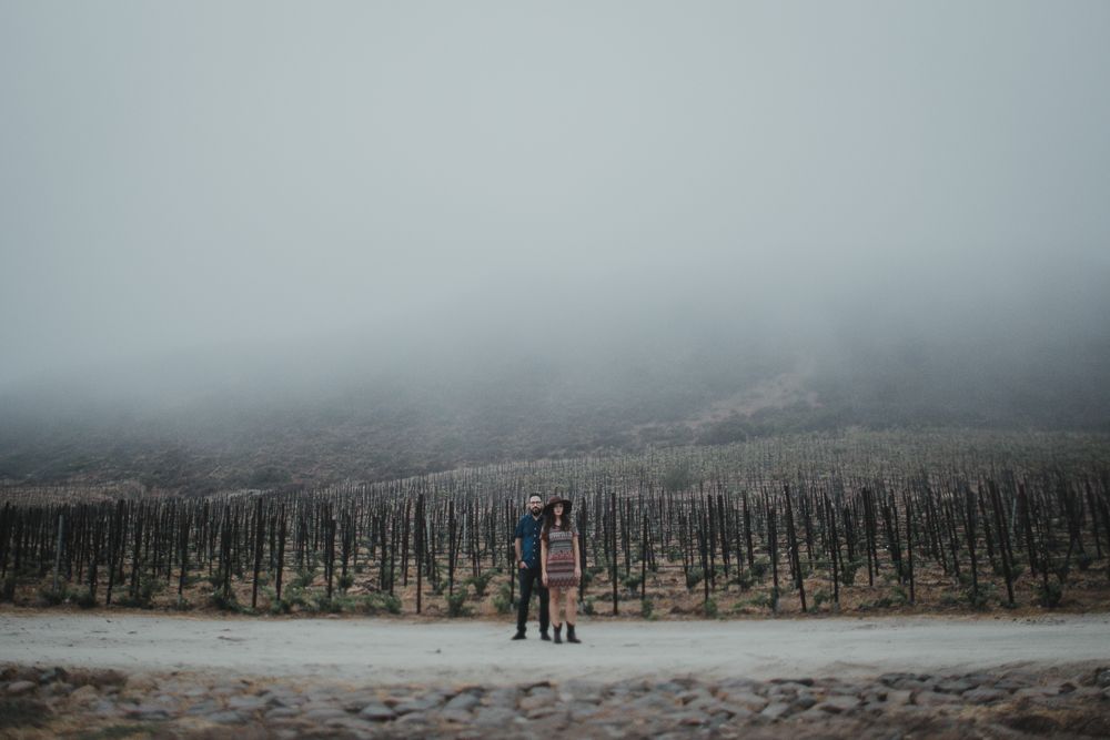 A silhouetted figure stands in a misty vineyard landscape during winter.