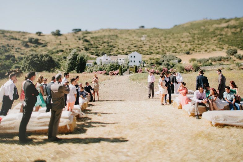 Small gathering under a large tree during an outdoor celebration.