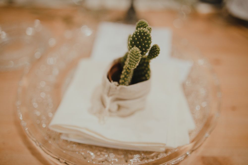 A decorative cactus wrapped in fabric napkin as unique table setting detail.