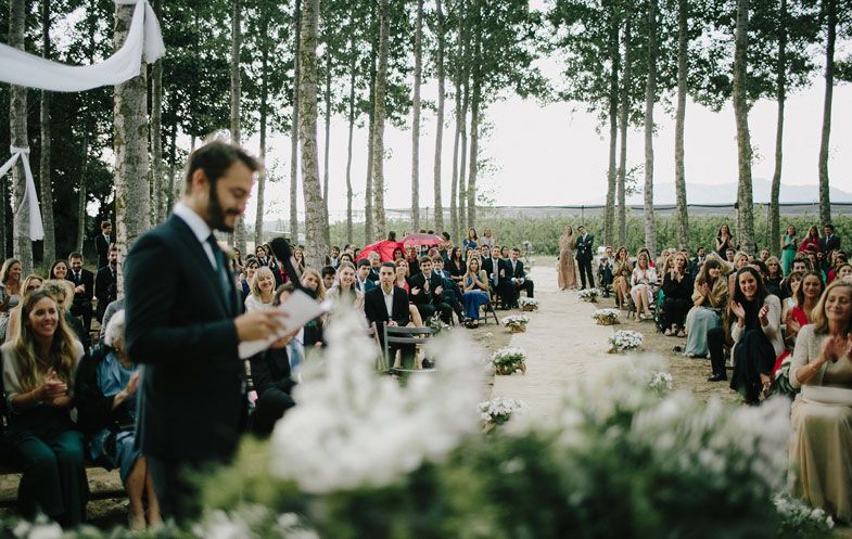 Wedding guests seated in rows at an outdoor ceremony among tall aspen trees.
