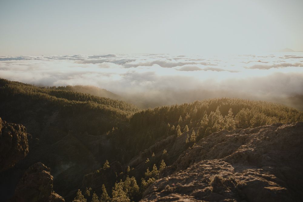 Misty valley view with sunlit forest slopes and layers of fog rolling through mountains.