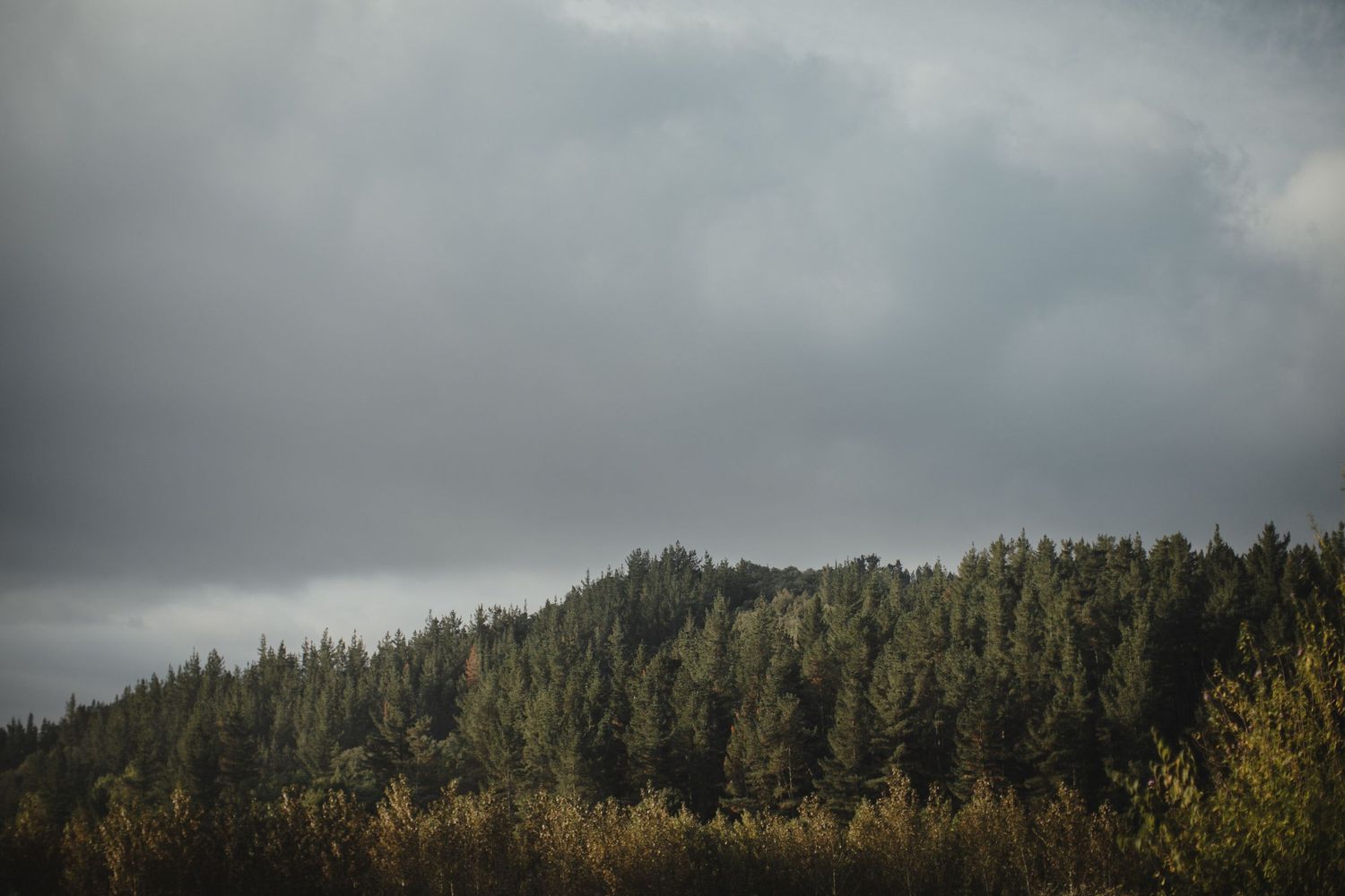 Moody overcast sky hovers above a forested mountain ridge with fall foliage.