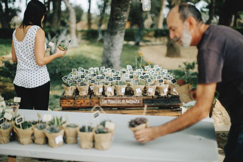 People arranging small potted plants on display table at outdoor event.